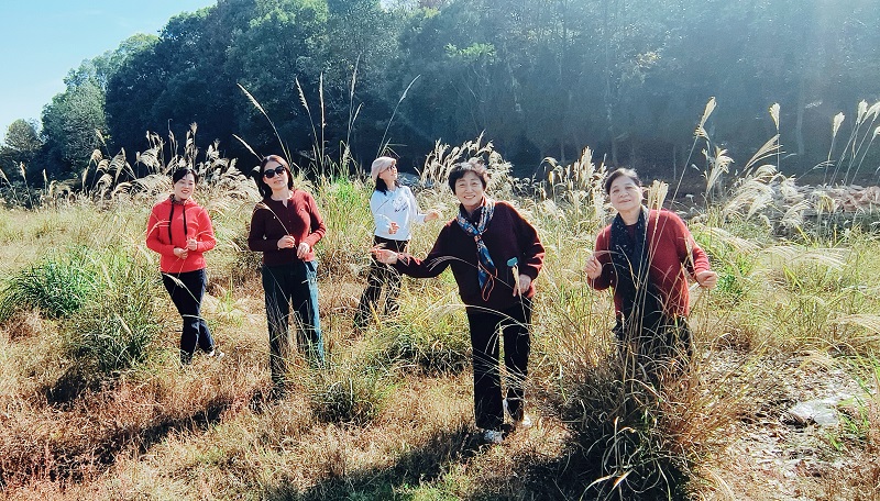 bevictor伟德官网