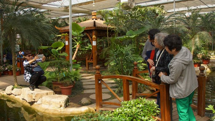 bevictor伟德官网