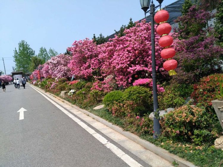 bevictor伟德官网