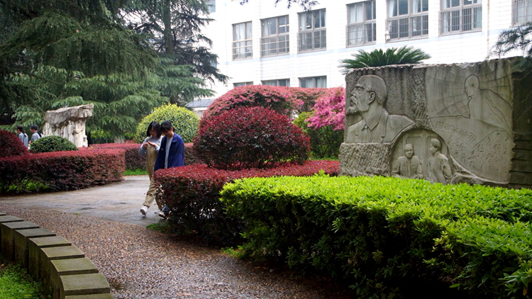 bevictor伟德官网