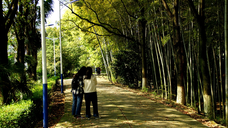 bevictor伟德官网