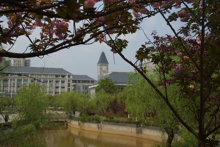 bevictor伟德官网