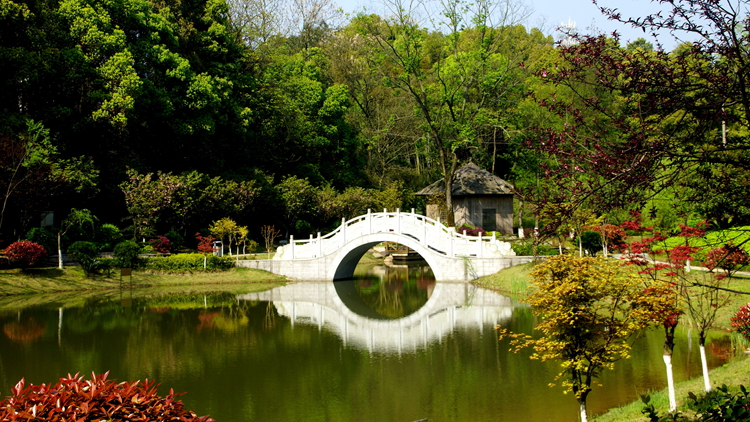 bevictor伟德官网